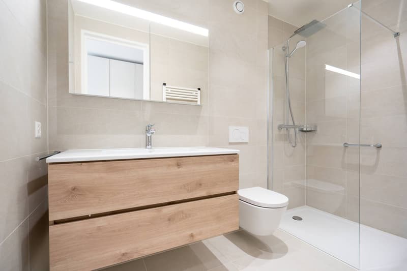 Appartement de 3,5 pièces avec vue sur le lac (9)