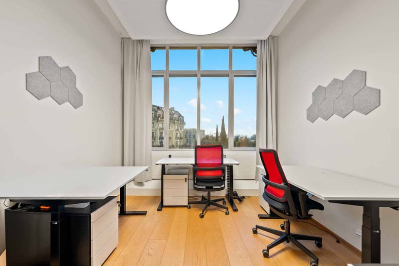 Bureaux de standing idéalement situés (7)