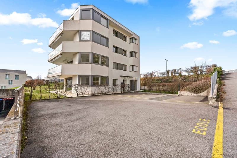 Surface commerciale d'exception avec jardin (11)