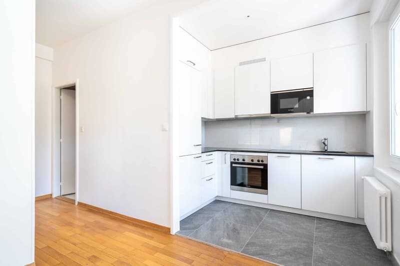 Magnifique studio rénové avec accès terrasse ! (4)