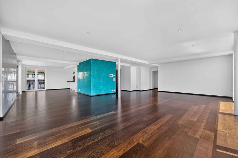 Appartement 3,5 pièces de standing avec vue imprenable sur le lac Léman (3)