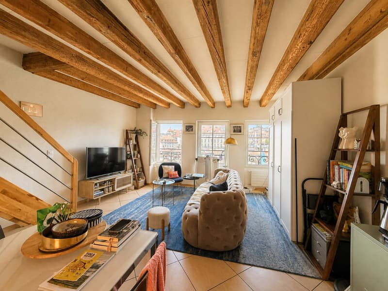 Duplex de 2,5 pièces au centre-ville avec terrasse (3)