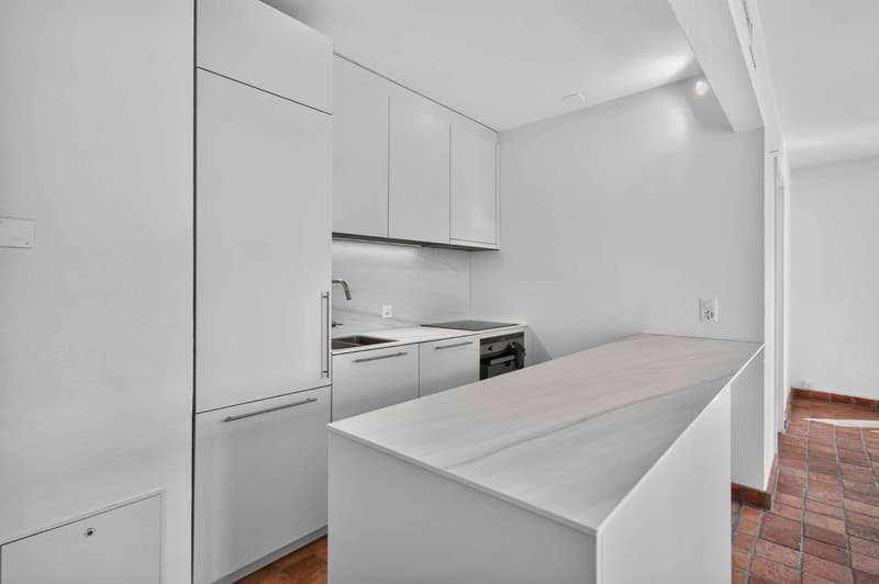 Spacieux 2.5 pièces au centre-ville (4)