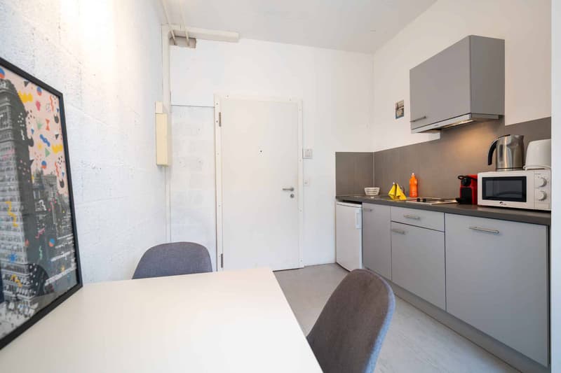 Studio de 28m2 à louer au Mont-sur-Lausanne ! (4)