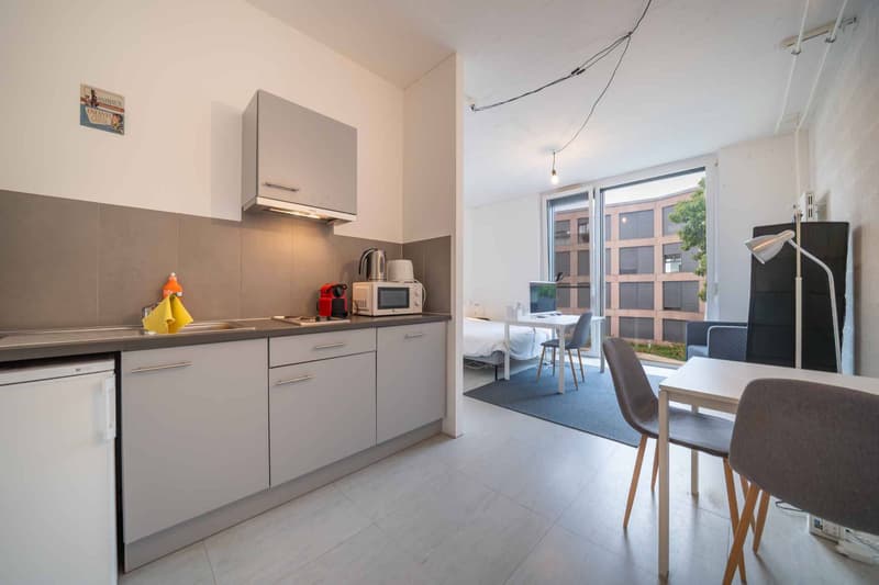 Studio de 28m2 à louer au Mont-sur-Lausanne ! (5)