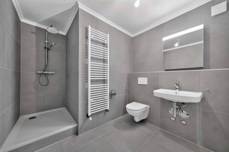 NEUF ! Magnifique appartement de 3.5 pièces entièrement rénové (3)