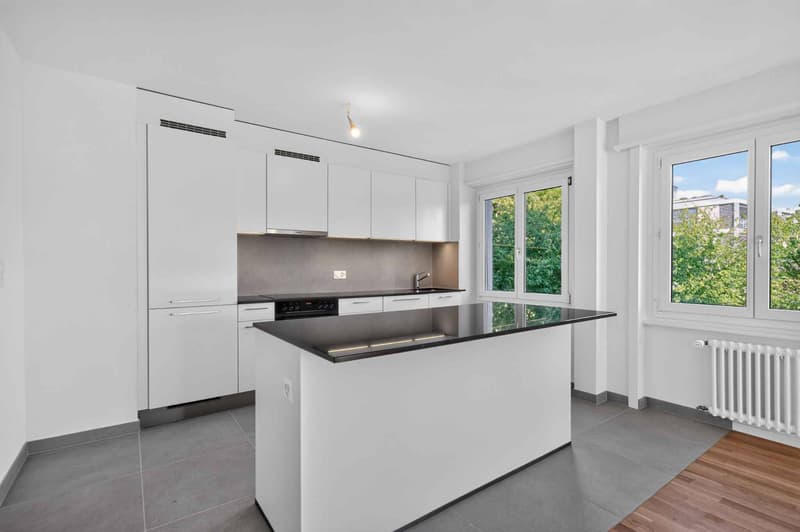 NEUF ! Magnifique appartement de 3.5 pièces entièrement rénové (2)
