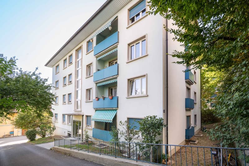 NEUF ! Magnifique appartement de 3.5 pièces entièrement rénové (8)