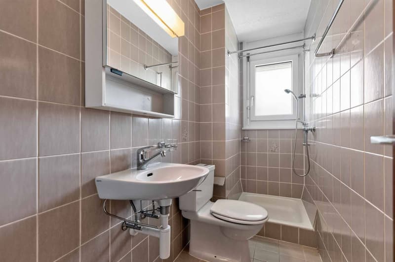 Spacieux 4,5 pièces avec terrasse (9)