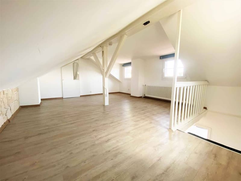 Charmante maison individuelle avec jardin (5)