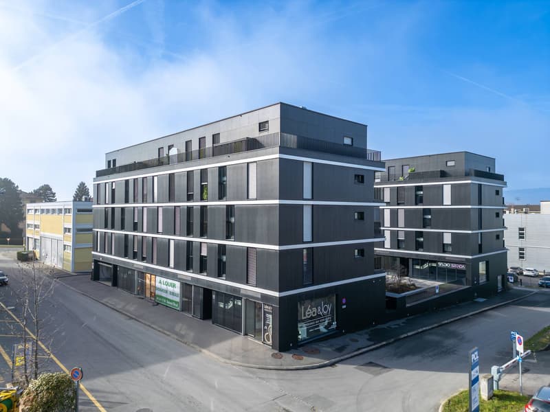 Espace unique et lumineux de 99 m2 sur 2 niveaux: idéal pour atelier, showroom, bureau ou plus ! (1)