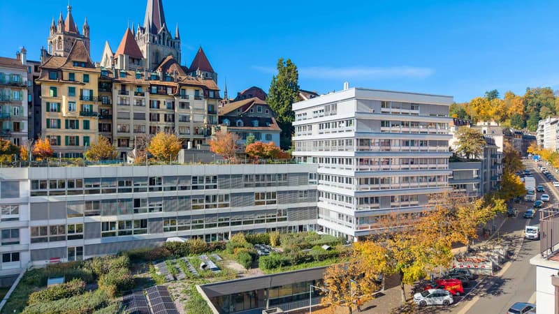 idéalement située au centre-ville - magnifique surface de 221 m2 (2)