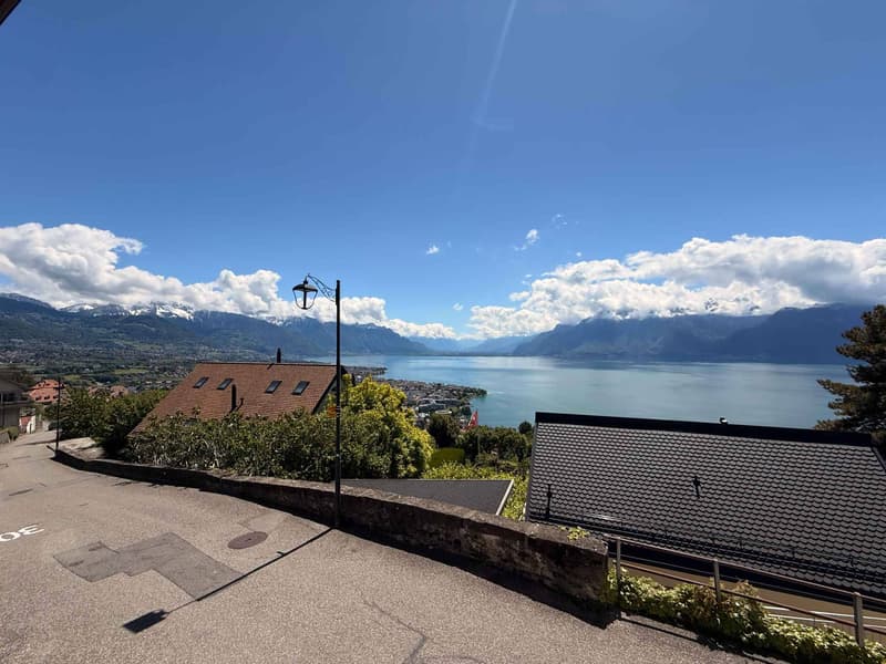 Charmant 3.5 pièces avec vue sur le lac (1)
