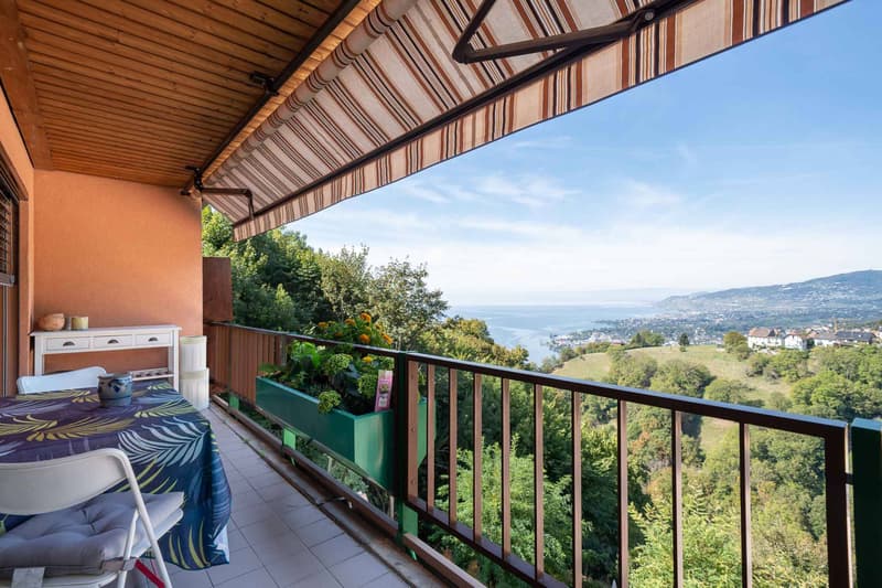 Lumineux studio meublé avec magnifique vue sur le lac (1)