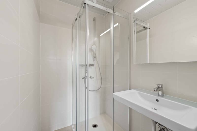 Villa mitoyenne de 5 pièces rénovée avec jardin  Yens (9)