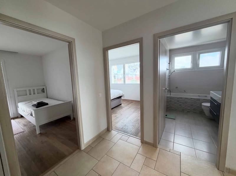 Appartement avec vue sur le lac et les montagnes (5)