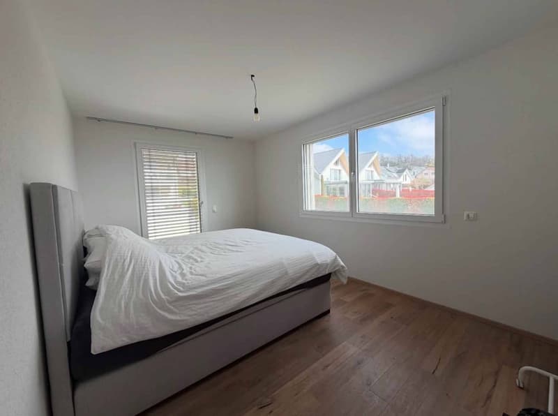 Appartement avec vue sur le lac et les montagnes (6)