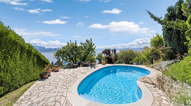 Élégante villa provençale avec piscine et vue panoramique sur le bassin lémanique et les Alpes (5)