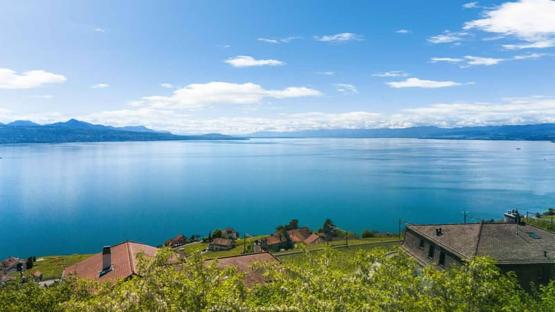 Élégante villa provençale avec piscine et vue panoramique sur le lac Léman et les Alpes (4)