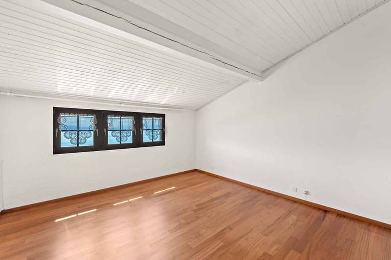 Élégante villa provençale avec piscine et vue panoramique sur le lac Léman et les Alpes (9)