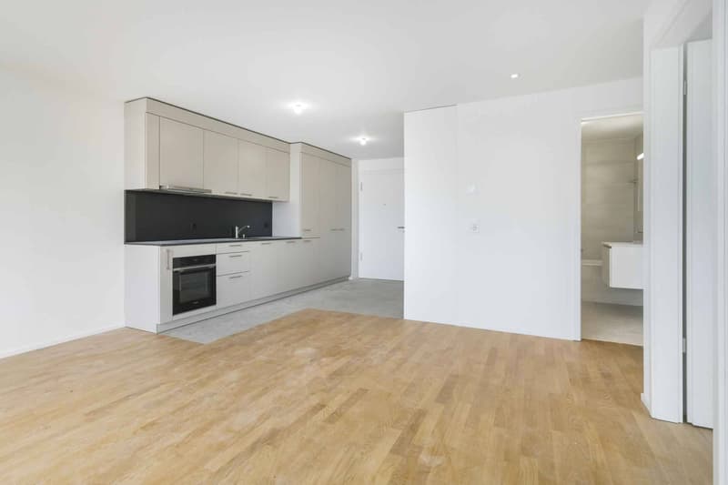 Superbe appartement neuf de 3.5 pièces avec balcon (2)