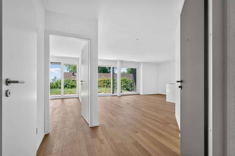 Élégance contemporaine et jardin privatif à deux pas du lac (9)