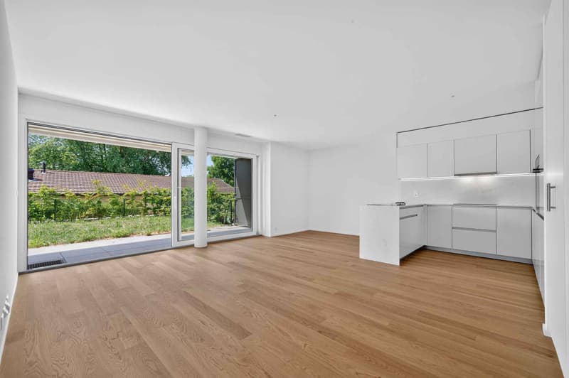 Élégance contemporaine et jardin privatif à deux pas du lac (7)