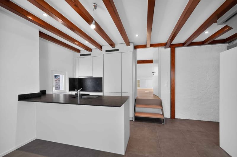 Magnifique duplex avec mezzanine et poutres apparentes (2)