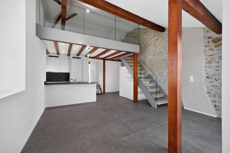 Magnifique duplex avec mezzanine et poutres apparentes (1)