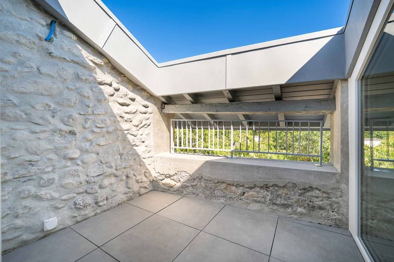 Magnifique duplex avec mezzanine et poutres apparentes (5)