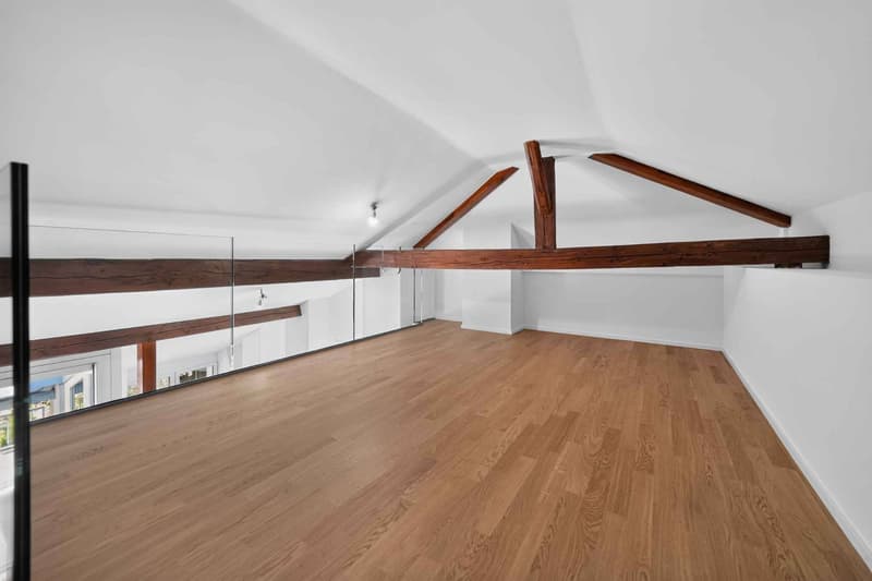 Magnifique duplex avec mezzanine et poutres apparentes (6)