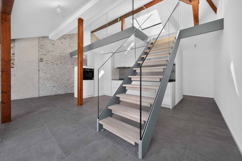 Duplex avec cachet et mezzanine (2)
