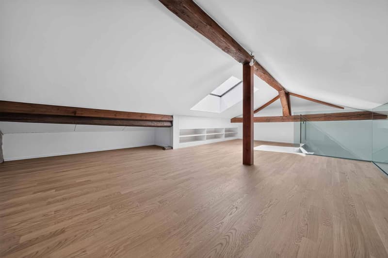 Duplex avec cachet et mezzanine (7)