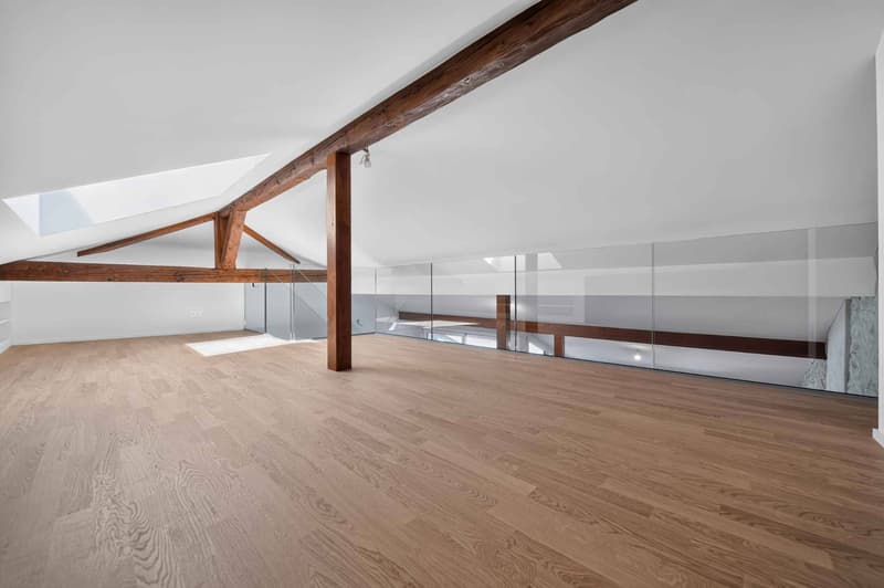 Duplex avec cachet et mezzanine (6)