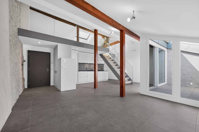 Duplex avec cachet et mezzanine (1)