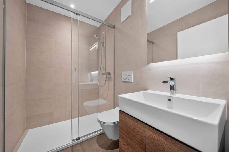 Duplex avec cachet et mezzanine (10)