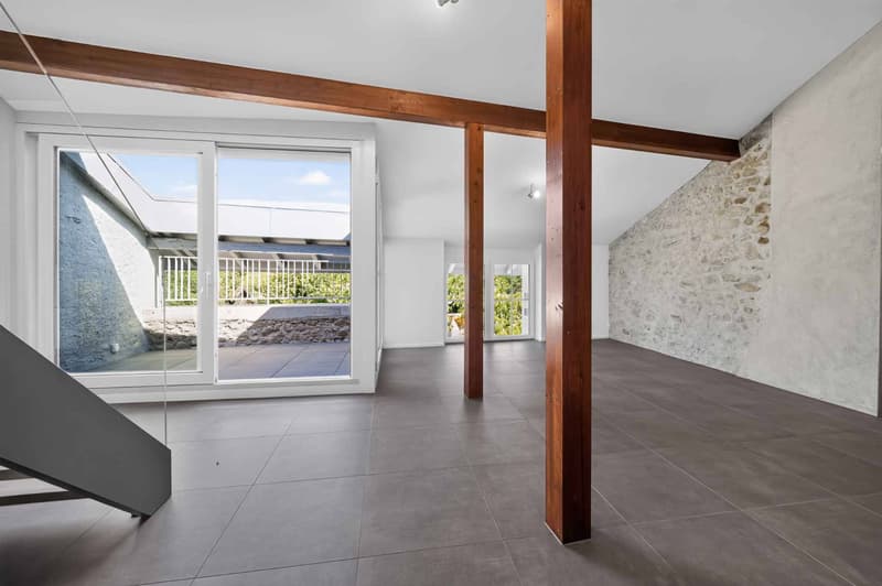 Duplex avec cachet et mezzanine (4)