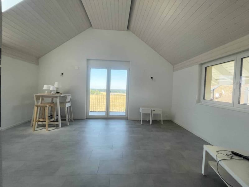 Appartement 2.5 pièces à Pampigny avec vue dégagée (3)