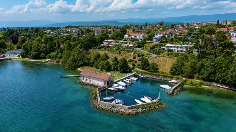 Une adresse d'exception au bord du Léman (1)
