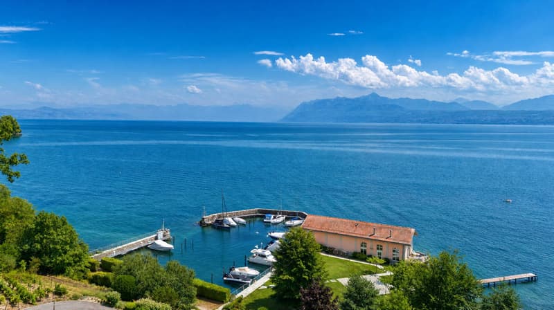 Une adresse d'exception au bord du Léman (4)