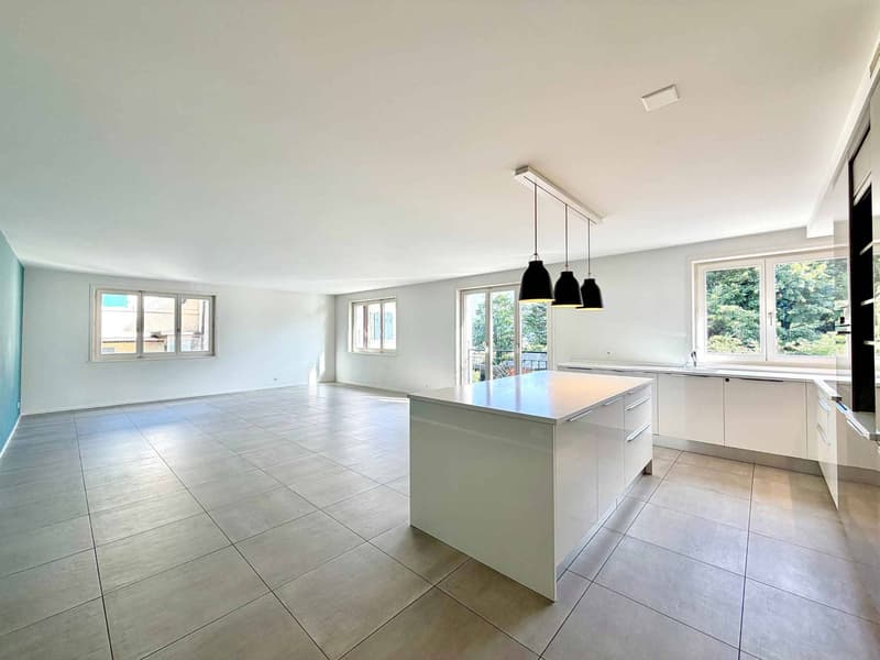 Appartement lumineux et rénové de 4,5 pièces avec terrasse (4)