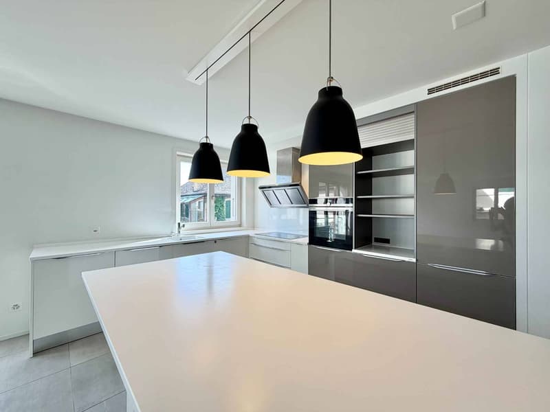 Appartement lumineux et rénové de 4,5 pièces avec terrasse (2)