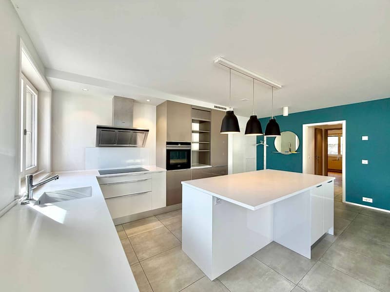 Appartement lumineux et rénové de 4,5 pièces avec terrasse (3)