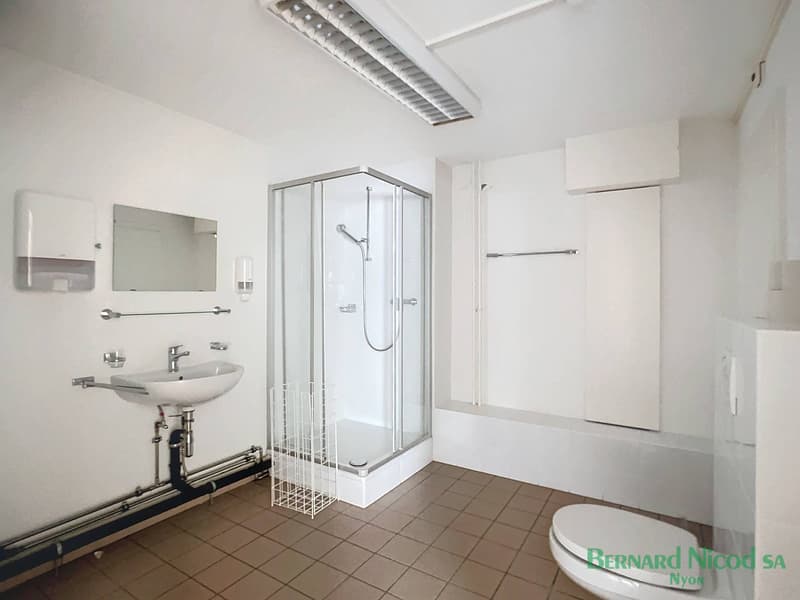 Bureaux de 300 m2 idéalement situés (4)