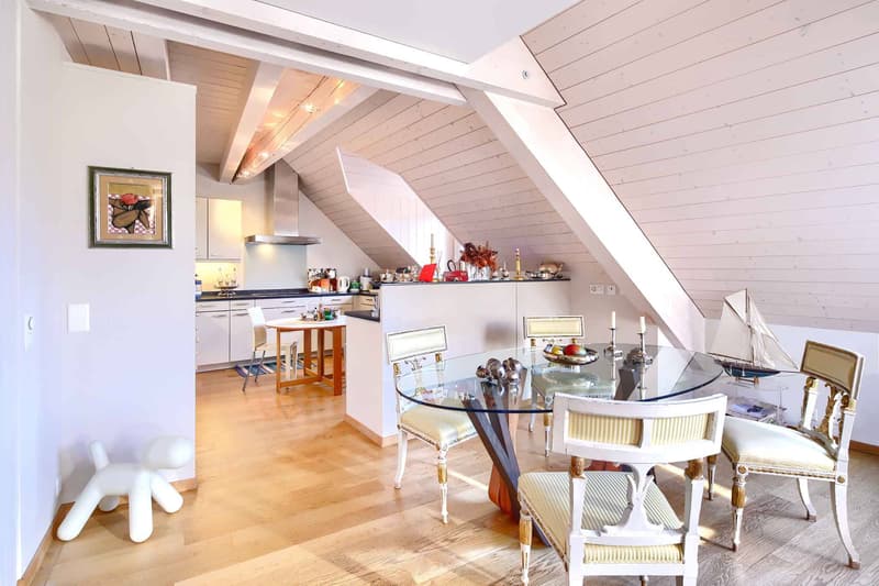 Magnifique appartement duplex de 5.5 pièces en attique (2)