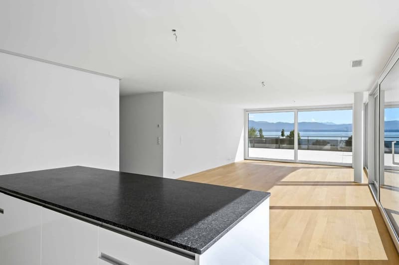 Magnifique attique neuf de 5.5 pièces  Rooftop exclusif à 360 (5)