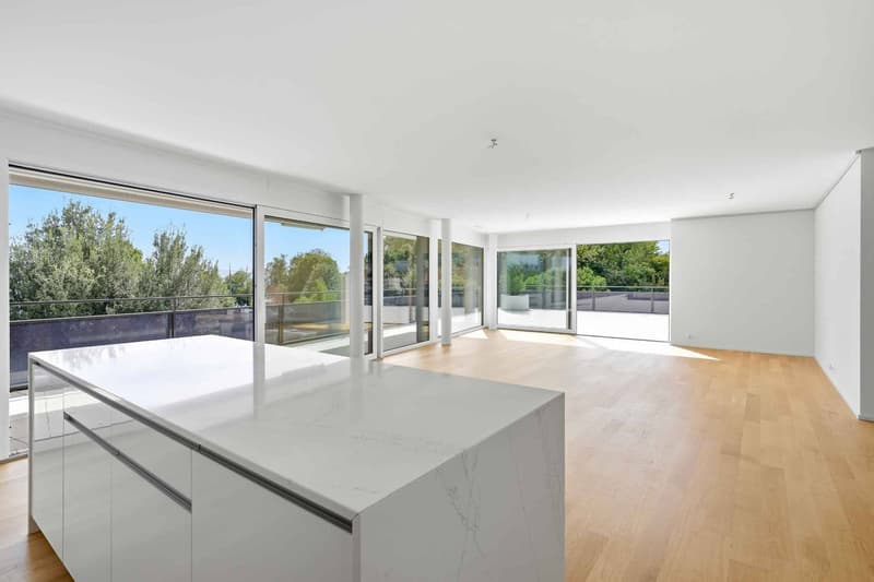 Appartement d'exception face au lac 5.5 pièces avec spacieuse terrasse (3)