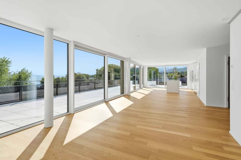 Magnifique attique neuf de 5.5 pièces  Rooftop exclusif à 360 (7)