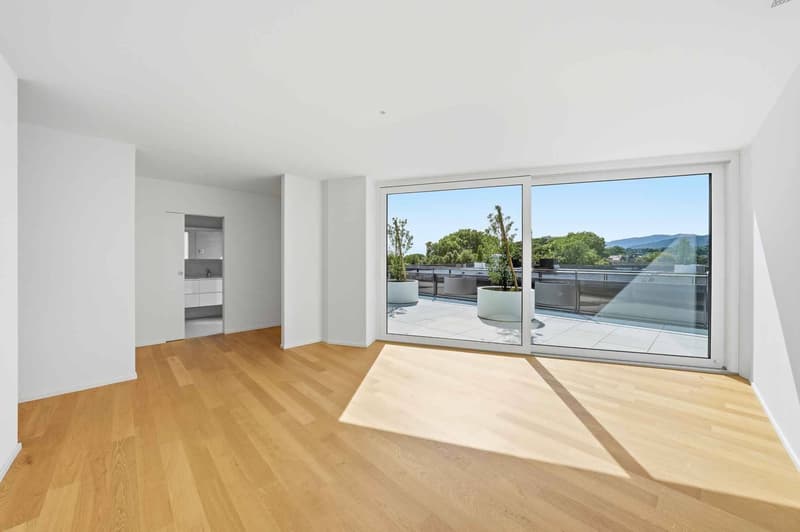 Magnifique attique neuf de 5.5 pièces  Rooftop exclusif à 360 (11)