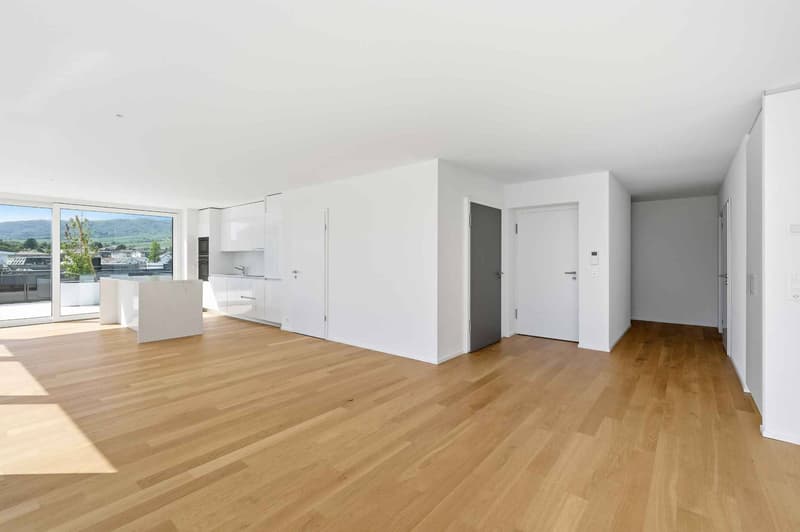 Magnifique attique neuf de 5.5 pièces  Rooftop exclusif à 360 (10)